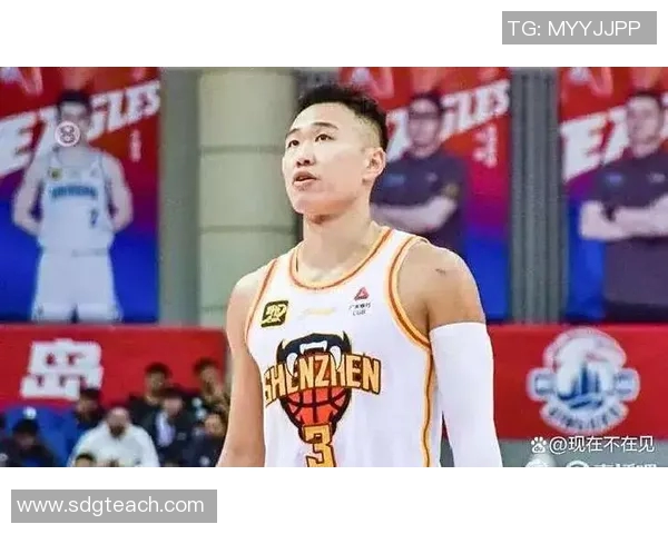 贺希宁：从篮球新星到职业生涯的璀璨之路与未来展望