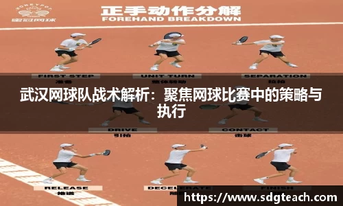 jn体育官方