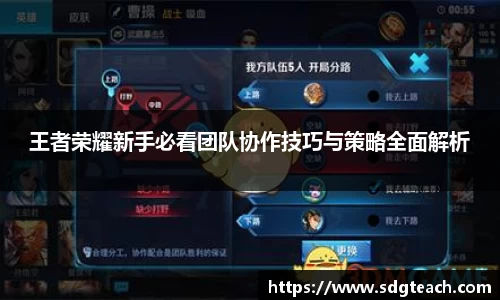 jn体育官方