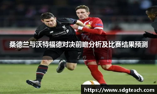 桑德兰与沃特福德对决前瞻分析及比赛结果预测