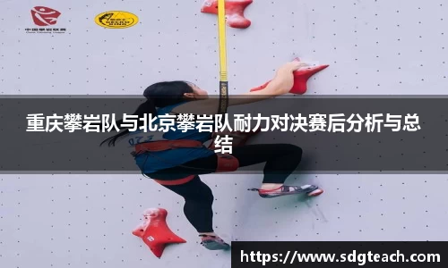 星空电子首页网站