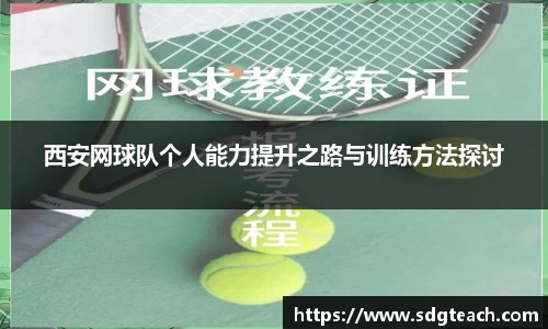 星空电子首页网站