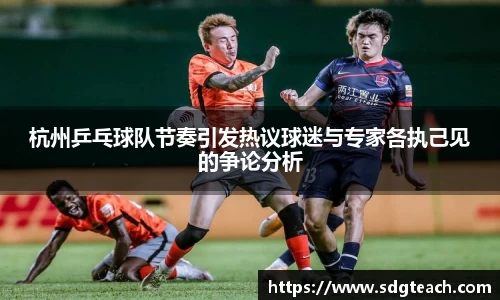 杭州乒乓球队节奏引发热议球迷与专家各执己见的争论分析